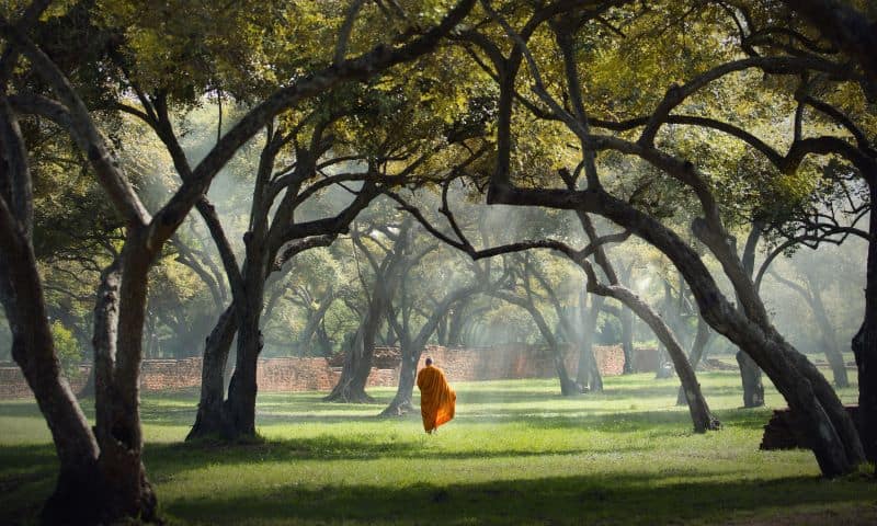 वॉकिंग मेडिटेशन से स्ट्रेस को कैसे कर सकते मैनेज