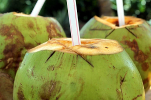 Coconut water during pregnancy: Is it safe?