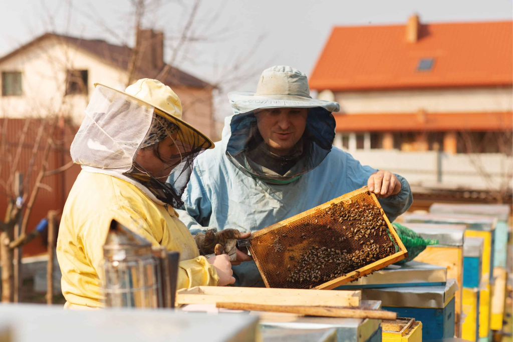 क्रोनिक बी पैरालिसिस वायरस-Chronic Bee paralysis virus