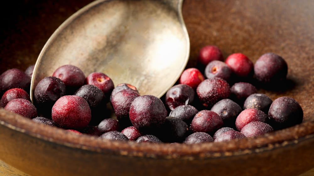 फालसा के फायदे एवं नुकसान - Health Benefits of Phalsa (Grewia Asiatica)