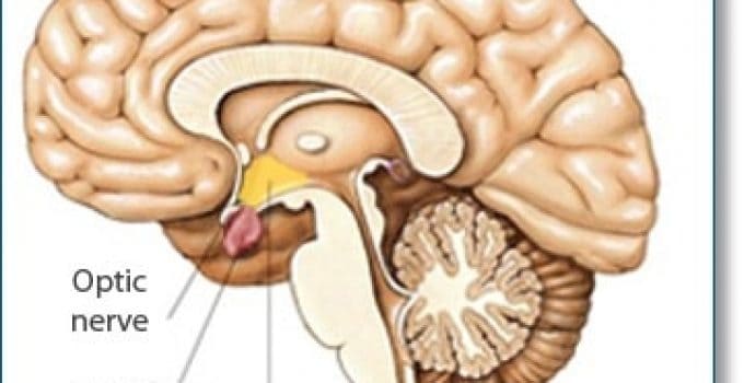किसी भी बीमारी से लड़ने के लिए जरूरी है विल पावर का स्ट्रांग होना