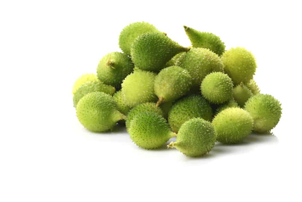 कंटोला (कर्कोटकी) के फायदे एवं नुकसान – Health Benefits of Kantola (Karkotaki)