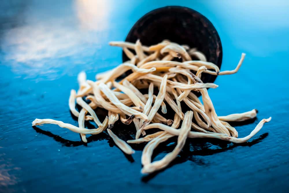 सफेद मूसली के फायदे एवं नुकसान - Health Benefits of Safed Musli (Chlorophytum borivilianum)