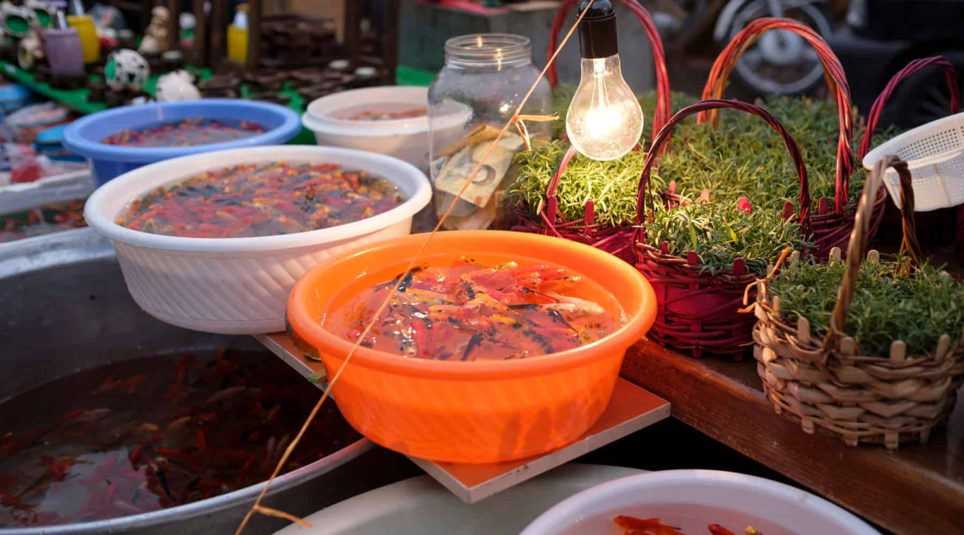 इन पारसी क्यूजीन के बिना अधूरा है नवरोज फेस्टिवल, आप भी करें ट्राई स्वादिष्ट पारसी रेसिपीज