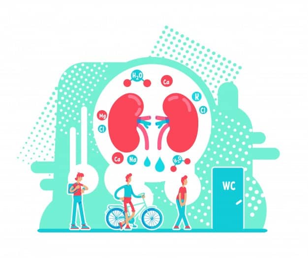 डायबिटिक किडनी डिजीज (Diabetic Kidney Disease): जानें क्या है इसका कारण, बचाव और इलाज