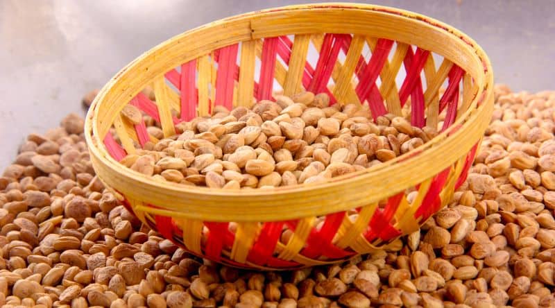 चिरौंजी के फायदे और नुकसान- Chironji benefits and side effects