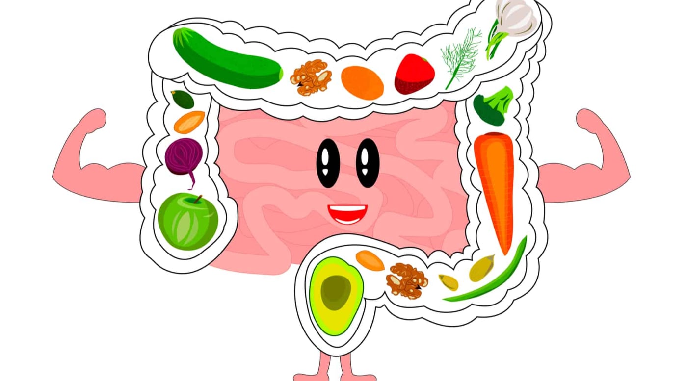 डाइजेशन को बेहतर बनाने के लिए डाइट में शामिल करें ये 15 फूड्स