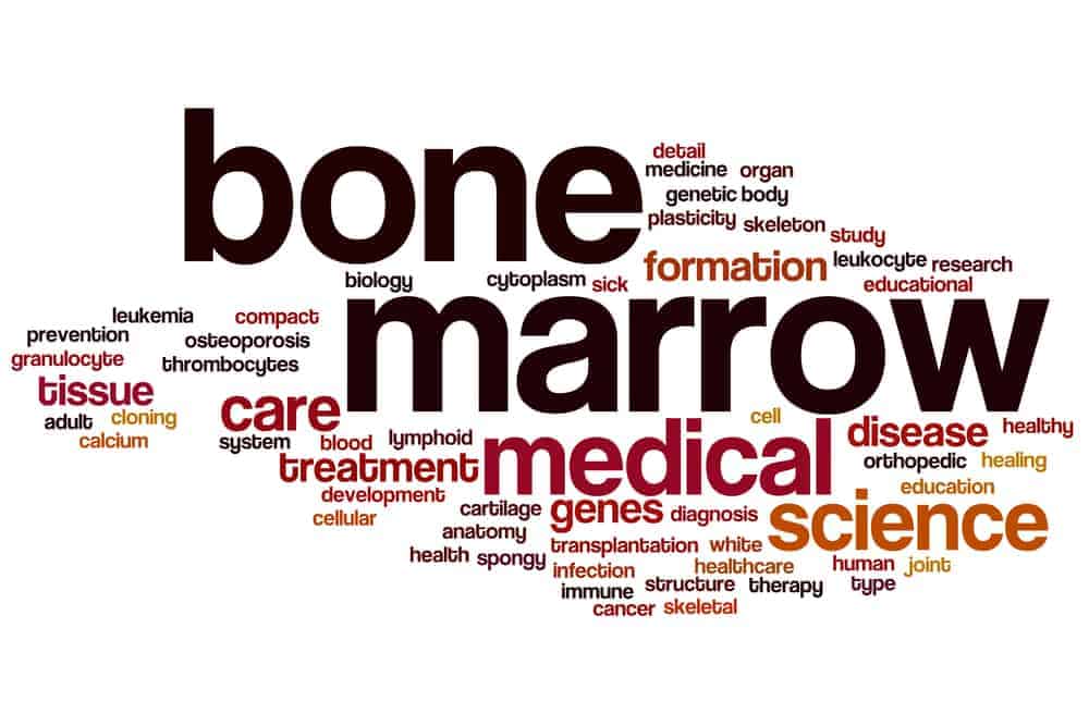 Bone Marrow Cancer: बोन मैरो कैंसर क्या है और कैसे किया जाता है इसका इलाज?