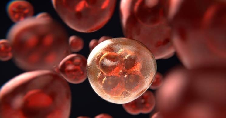 कैंसर के इलाज के लिए किए जाने वाले एडवांस ट्रीटमेंट के बारे में जान लीजिए