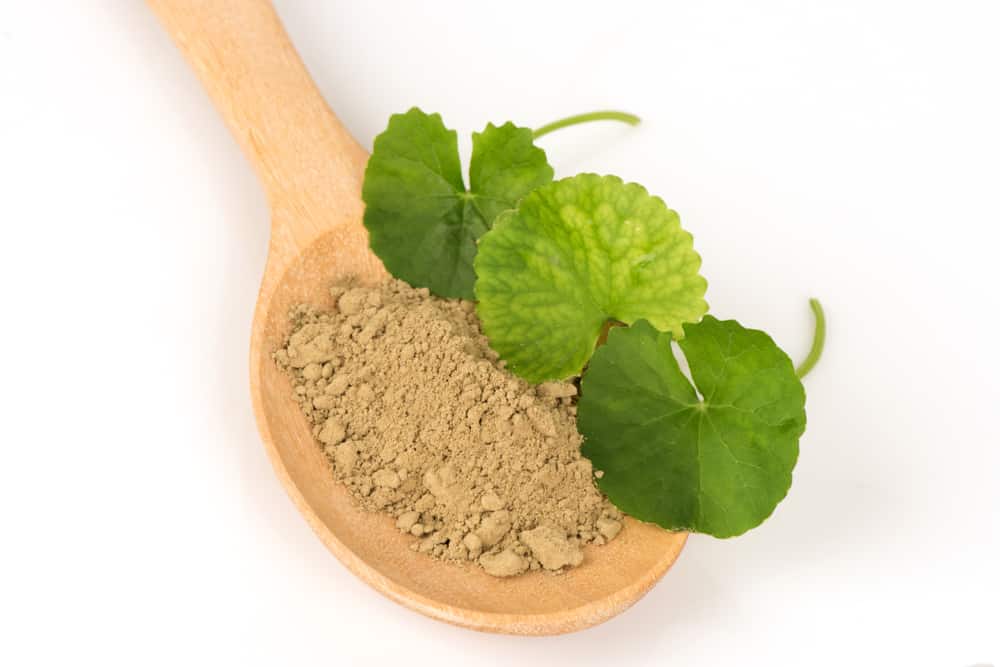 जानिए आयुर्वेद में गोटू कोला को क्यों माना जाता है त्वचा के लिए चमत्कारी