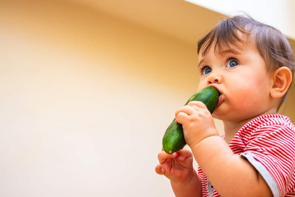 बच्चों के लिए खीरा (Cucumber for babies) फायदेमंद है, लेकिन कब से शुरू करें देना?