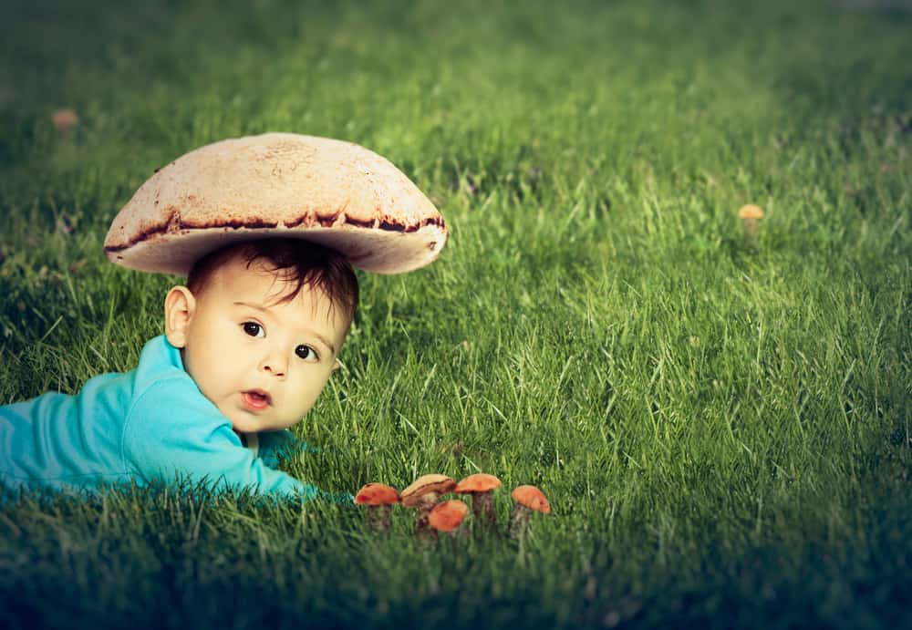 बेबी के लिए मशरूम सुरक्षित होता है या नहीं?