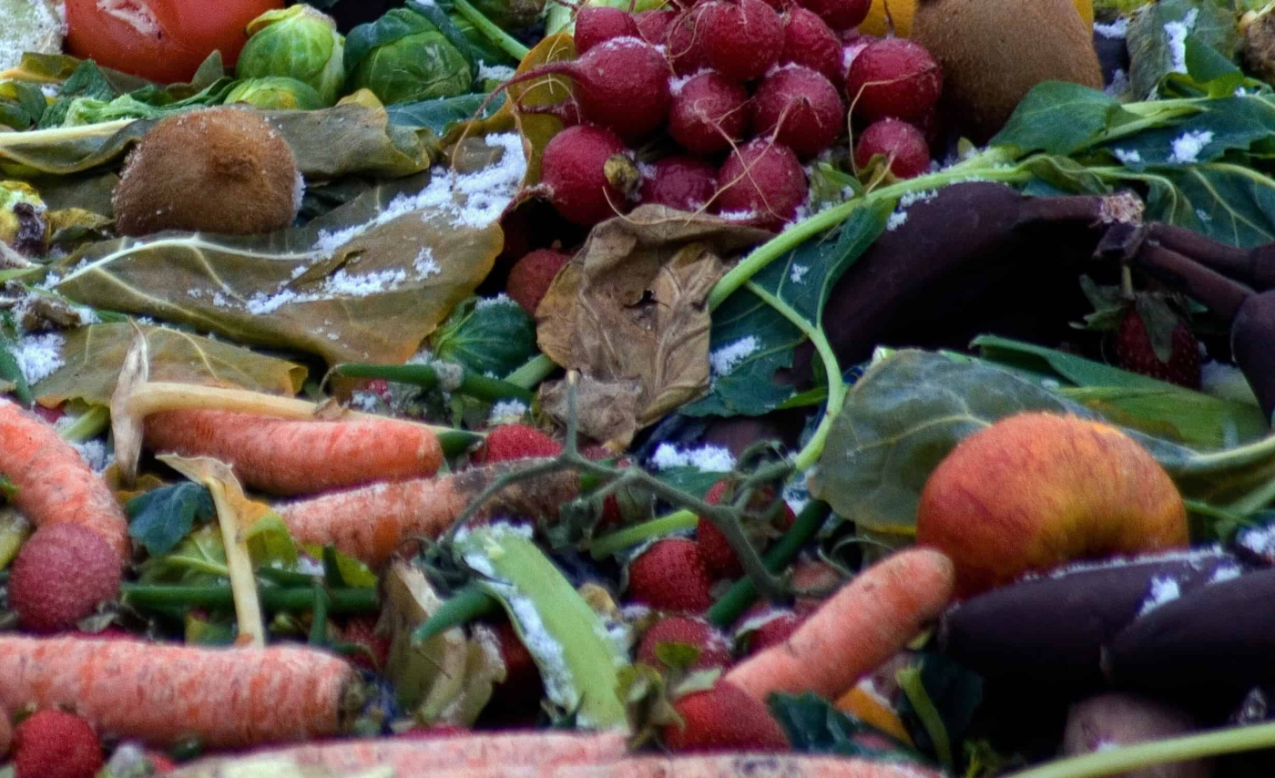 फूड पॉइजनिंग और स्टमक इंफेक्शन में क्या अंतर है? समझें इनके कारणों को