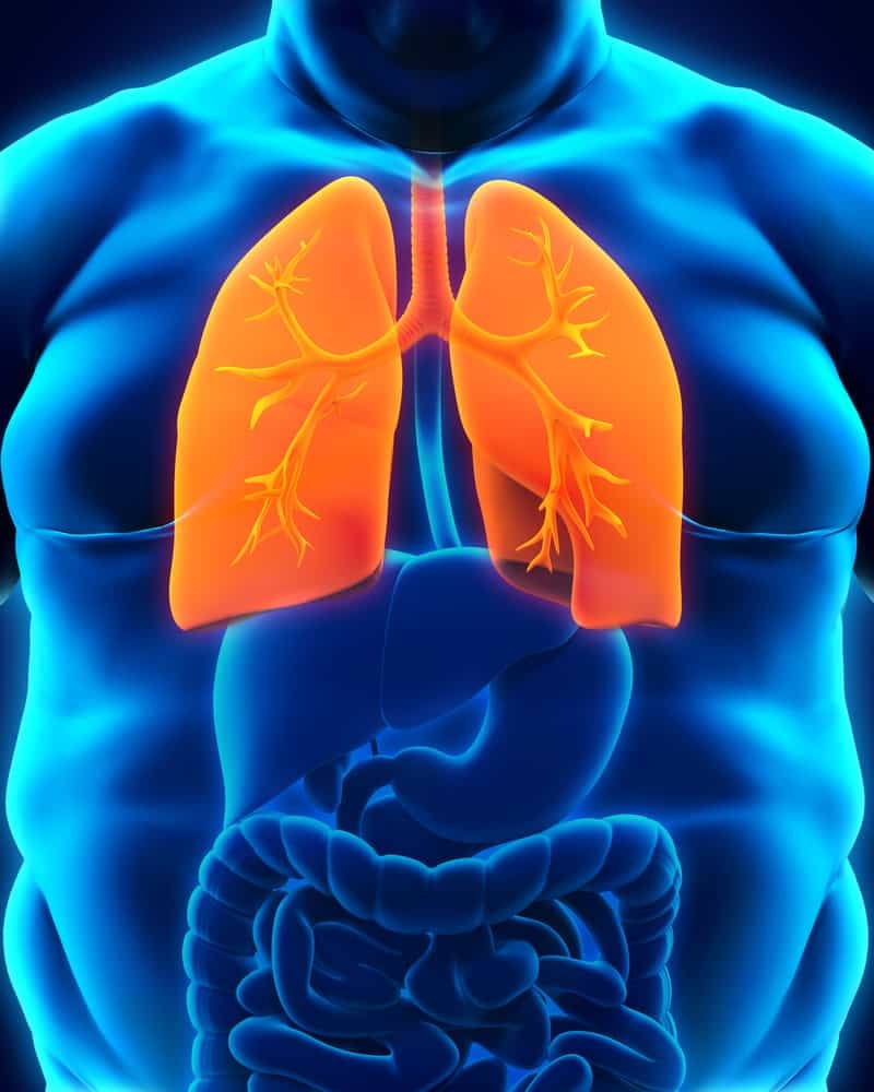 ओबेसिटी और लंग्स हेल्थ : ओबेसिटी प्रभावित कर सकती है हमारे लंग्स को भी!