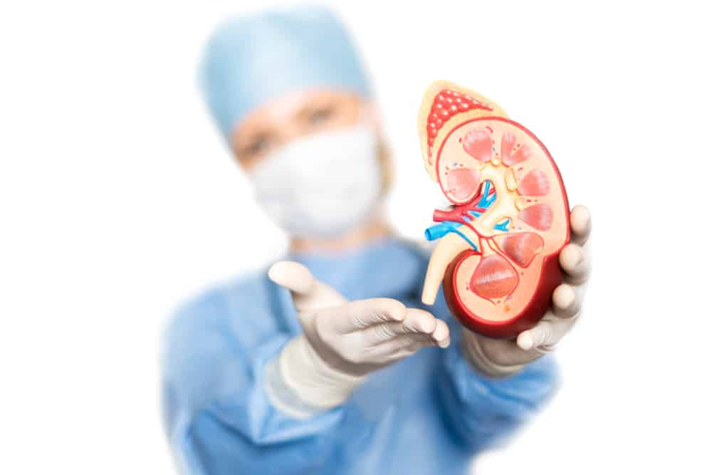 Artificial Kidney : जल्द ही किडनी ट्रांसप्लांट की जगह प्रयोग होगी आर्टिफिशियल किडनी