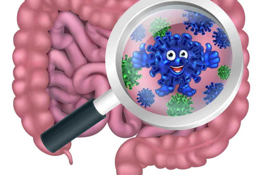 गट से जुड़ी हैं ऐसी-ऐसी बीमारियां, जो आपके दरवाजे पर कभी भी दस्तक दे सकती है!