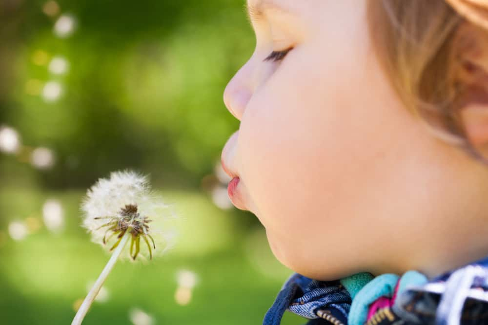 जानिए एक्सपर्ट से बच्चों में सीजनल एलर्जी की होम रेमेडीज के बारे में..