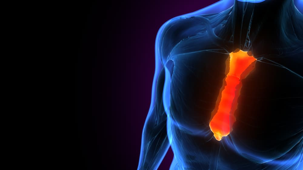 Sternum Pain: जानिए स्टर्नम पेन की पूरी एबीसीडी