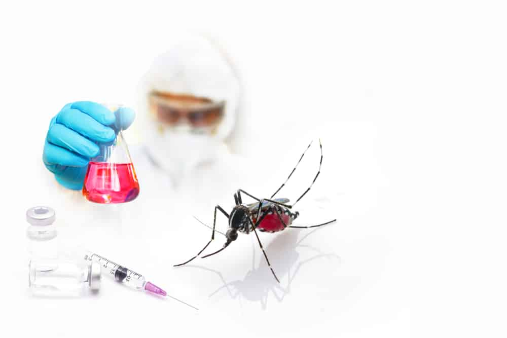 कैसे पता लगाया जाए कि डेंगू का बुखार है या कोरोना इंफेक्शन?