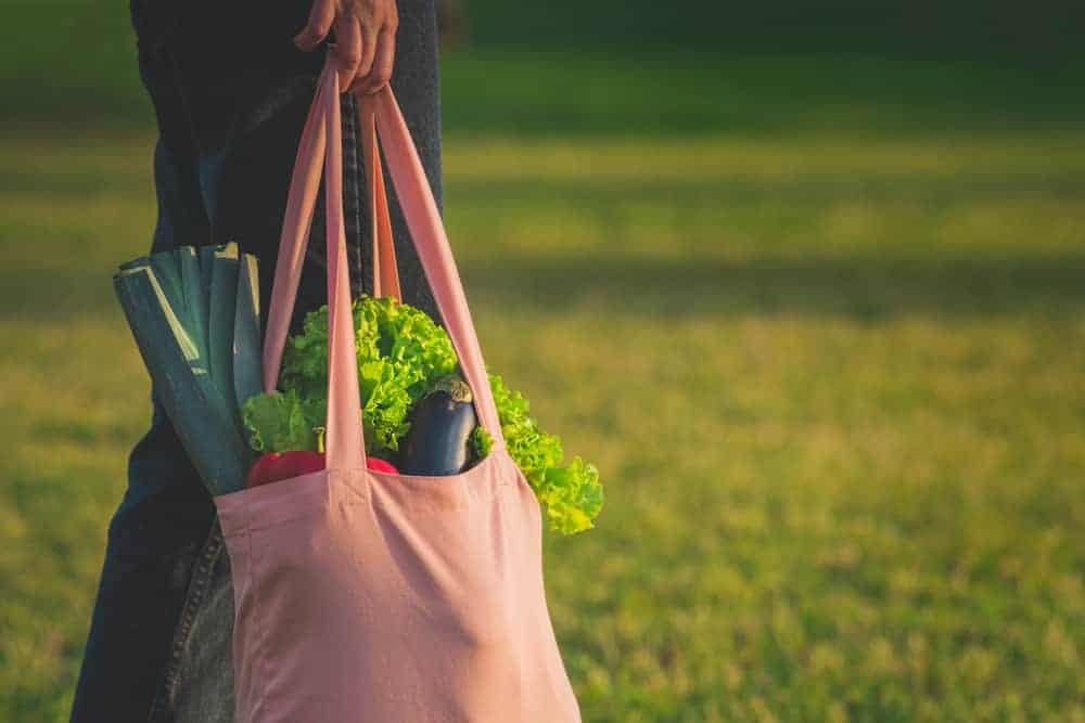 गॉलब्लैडर स्टोन्स डायट (Gallbladder stones diet) क्या है?