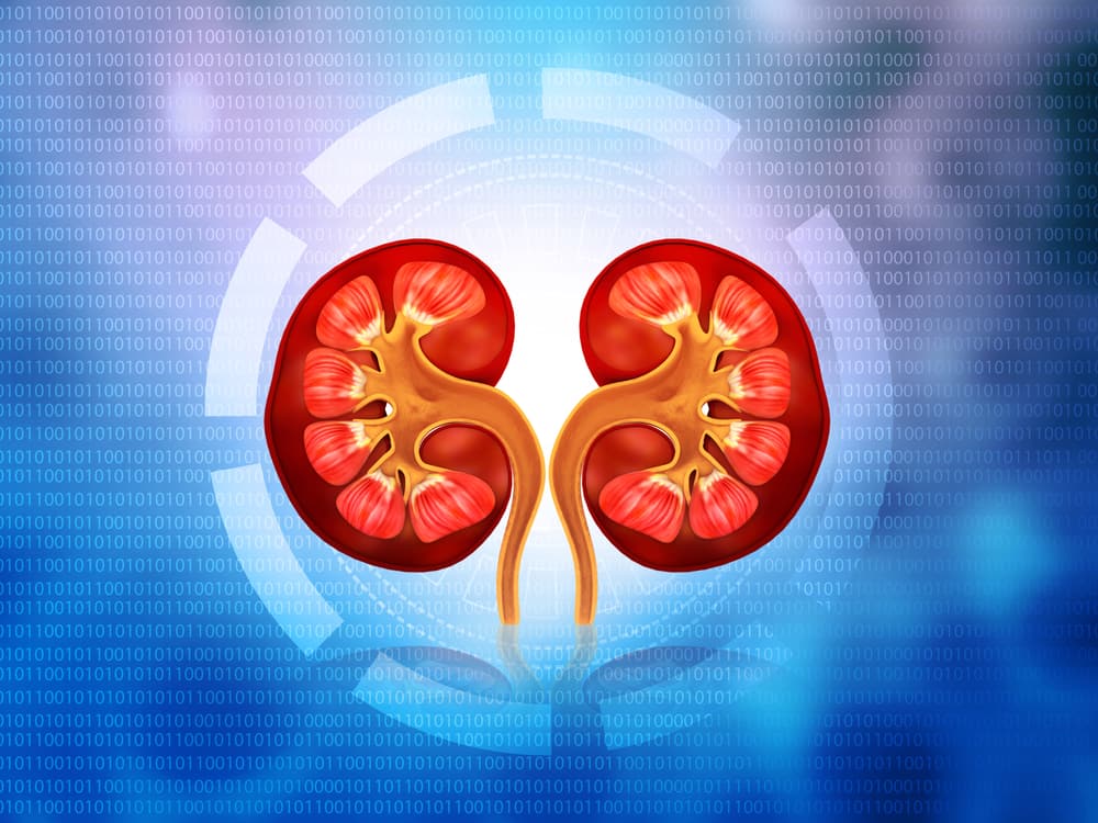 ऑर्किेऐकटमी : प्रोस्टेट कैंसर को रिमूव करने वाली सर्जरी के बारे इन बातों को जानना है जरुरी!