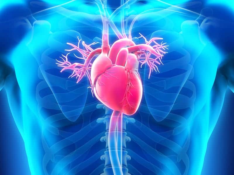 Tricuspid Regurgitation: हार्ट वॉल्व के ठीक से काम न करने के कारण पैदा होती है ये कंडिशन!