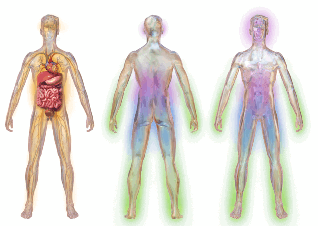 पेरिफेरल नर्वस सिस्टम के डैमेज होने के कारण होती है स्मॉल फाइबर न्यूरोपैथी की समस्या!
