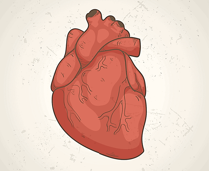 मायोकार्डियल बायोप्सी: हार्ट इंफेक्शन में इस तरह से किया जाता है यह टेस्ट!