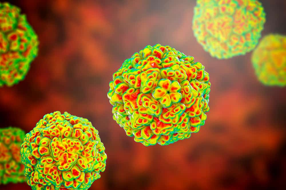 एकोवायरस इंफेक्शन क्या है? जानिए इसके लक्षण, कारण और इलाज