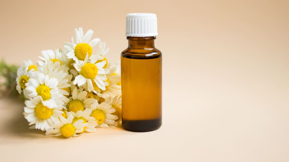 कोलेस्ट्रॉल कम करने की होम्योपैथिक दवा कैसे करती है असर, जानें इससे जुड़ी सारी बातें