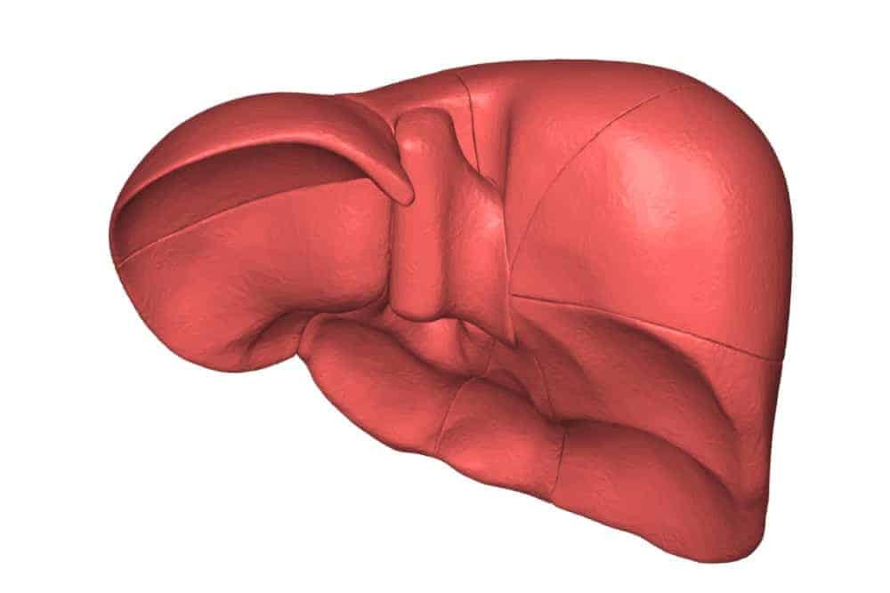 Liver cyst: लिवर सिस्ट के क्या होते हैं लक्षण, कैसे किया जाता है बीमारी का इलाज?
