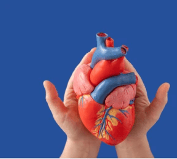 क्या महिलाओं में होने वाले हृदय रोग पुरुषों से अलग हैं? क्या है फैक्ट, जानें एक्सपर्ट की राय!