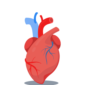 अपने बढ़े हुए हार्ट रेट को कैसे कम करें?