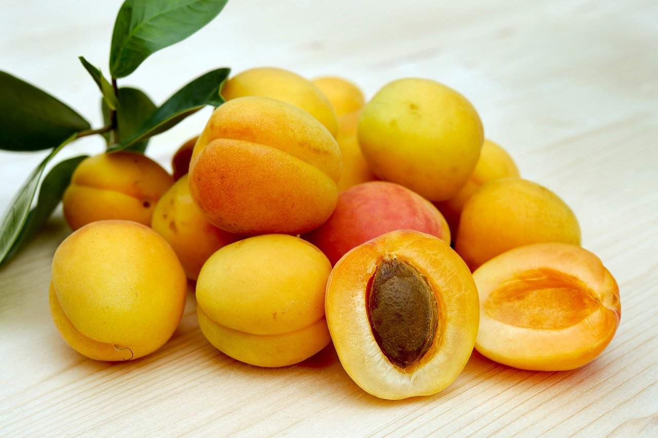 डायबिटीज में एप्रिकॉट (Apricot in diabetes) खाने के क्या होते हैं फायदे?