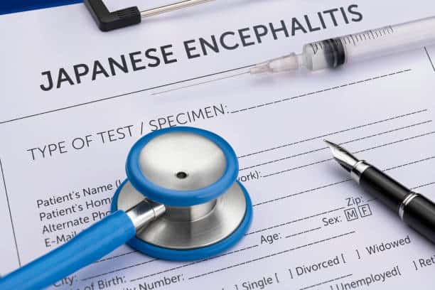 Japanese Encephalitis: जैपनीज इंसेफेलाइटिस क्या हैं? जानिए इसके लक्षण और इलाज