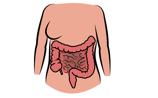 पाचन के लिए ट्रिप्सिन एंजाइम क्यों जरूरी है? जानिए इसके कार्य