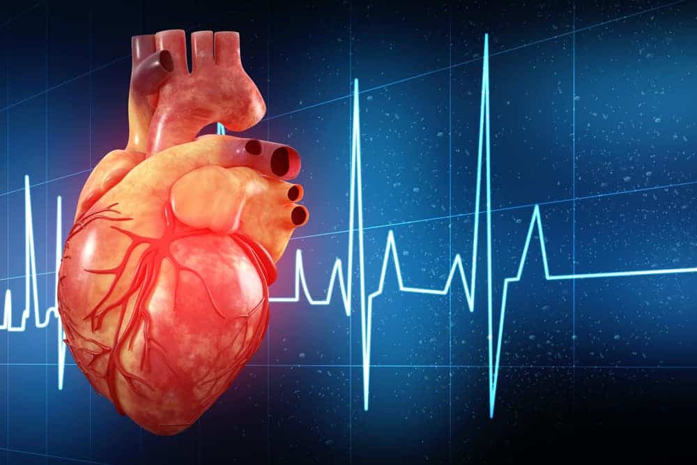 Normal vs Dangerous Heart Rate: नॉर्मल और डेंजर हार्ट रेट में फर्क क्या होता है, जानिए यहां!
