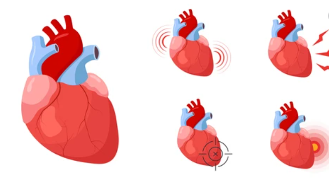 हार्ट अटैक और हार्ट फेलियर में क्या होता है अंतर, जानिए यहां
