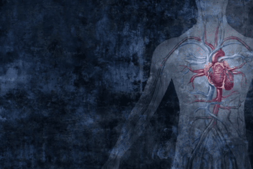 Venous System: वेंस का शरीर में क्या होता है महत्वपूर्ण स्थान, जानिए वीनस सिस्टम के बारे में