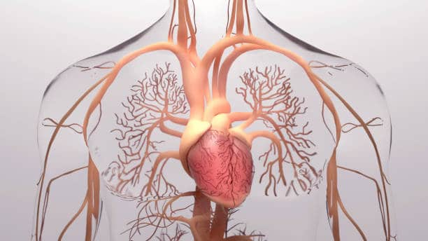 Drugs for Pulmonary Arterial Hypertension: पल्मोनरी आर्टेरियल हायपरटेंशन के लिए ड्रग्स के बारे में जानें यहां!