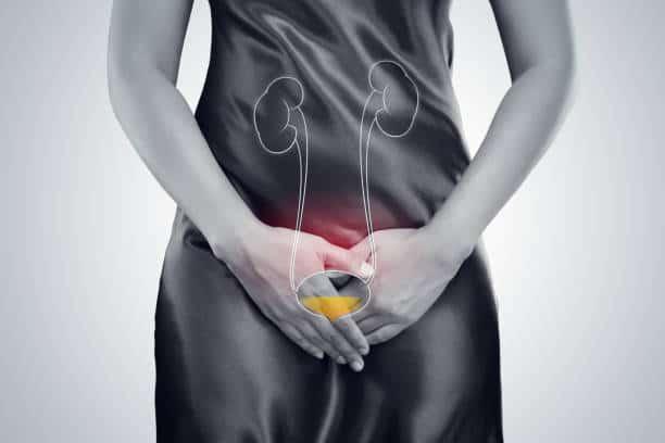 Stage 4 Bladder Cancer: स्टेज 4 ब्लैडर कैंसर के बारे में पाएं पूरी जरूरी इंफॉर्मेशन