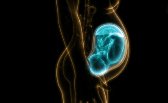 कब नवजात में होता है बाल, त्वचा और नाखूनों का विकास?