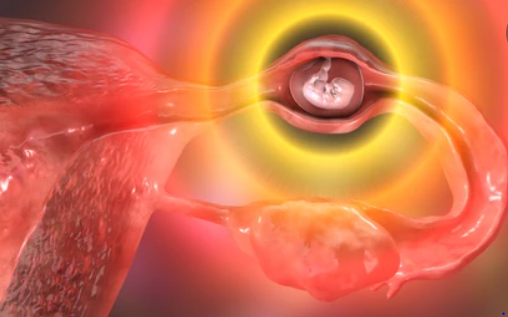इंप्लांटेशन (Implantation) है प्रेगनेंसी की पहली सीढ़ी, जानें इस प्रोसेस के दौरान क्या होता है?
