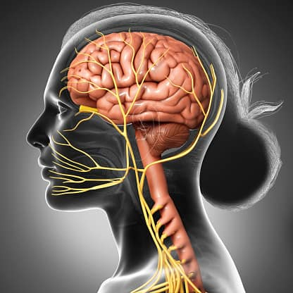 Vagus Nerve: क्या हो सकती हैं वेगस नर्व से जुड़ी परेशानियां?