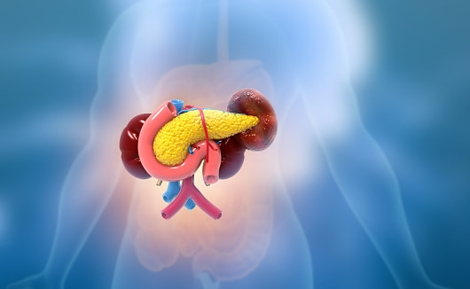 Bile Duct Cancer: बाइल डक्ट कैंसर क्या है? जानिए बाइल डक्ट कैंसर के लक्षण, कारण और इलाज!