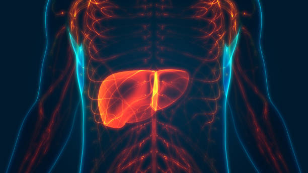 Metastatic Liver Cancer: मेटास्टेटिक लिवर कैंसर के बारे में क्या यह सब जानते हैं आप?