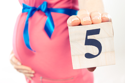5 month pregnancy: 5 मंथ प्रेग्नेंसी के बारे में पाएं पूरी इंफॉर्मेशन!