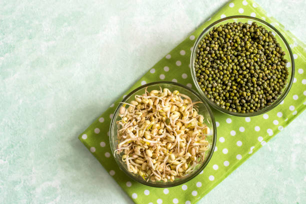 Sprouts Grains: अंकुरित अनाज के फायदे तो कई हैं, लेकिन सेवन से पहले कुछ बातों का ध्यान रखना है अति आवश्यक! 