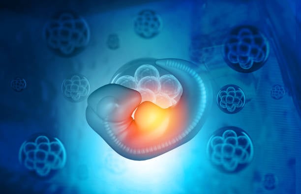Yolk Sac: प्रेग्नेंसी में योल्क सेक की भूमिका क्यों है महत्वूर्ण?
