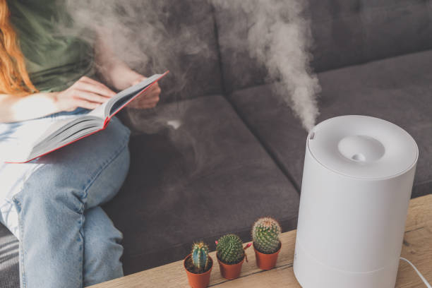 Humidifier: क्या स्किन के लिए फायदेमंद है ह्यूमिडिफायर?